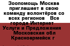 Зоопомощь.Москва приглашает в свою команду волонтёров со всех регионов - Все города Интернет » Услуги и Предложения   . Московская обл.,Красноармейск г.